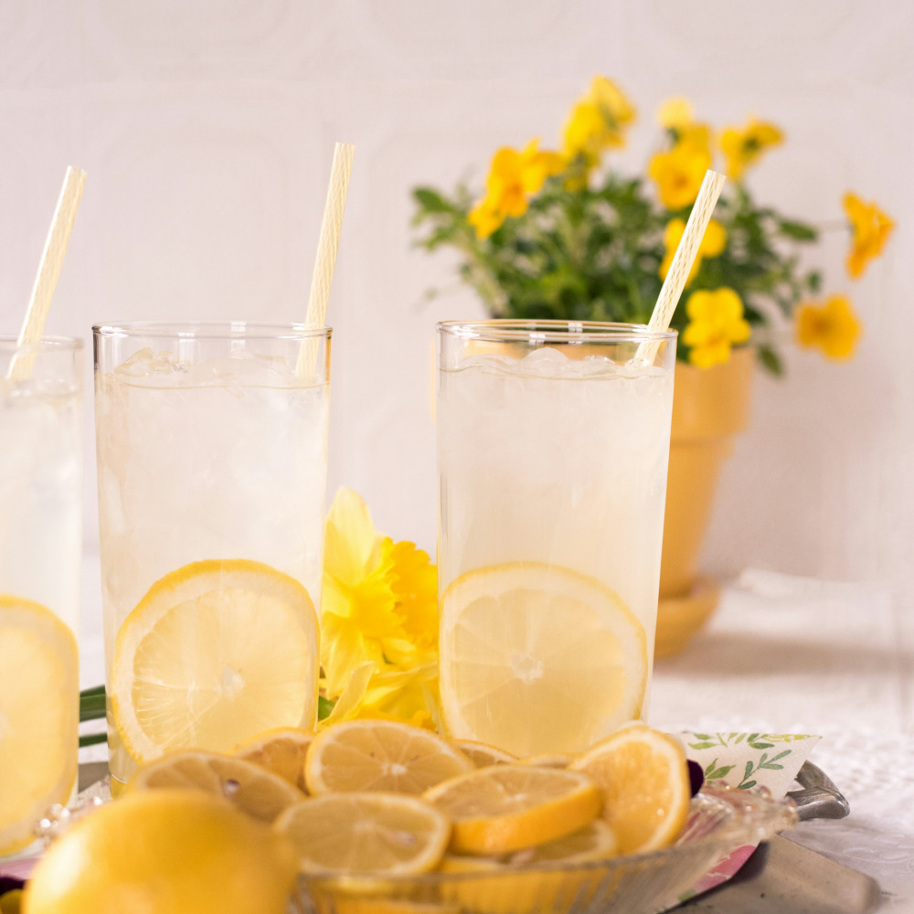 뉴테크캠쿡 스텐 레몬스퀴즈 스퀴저 수동착즙기 레몬즙짜개 과일짜기 즙짜는기계