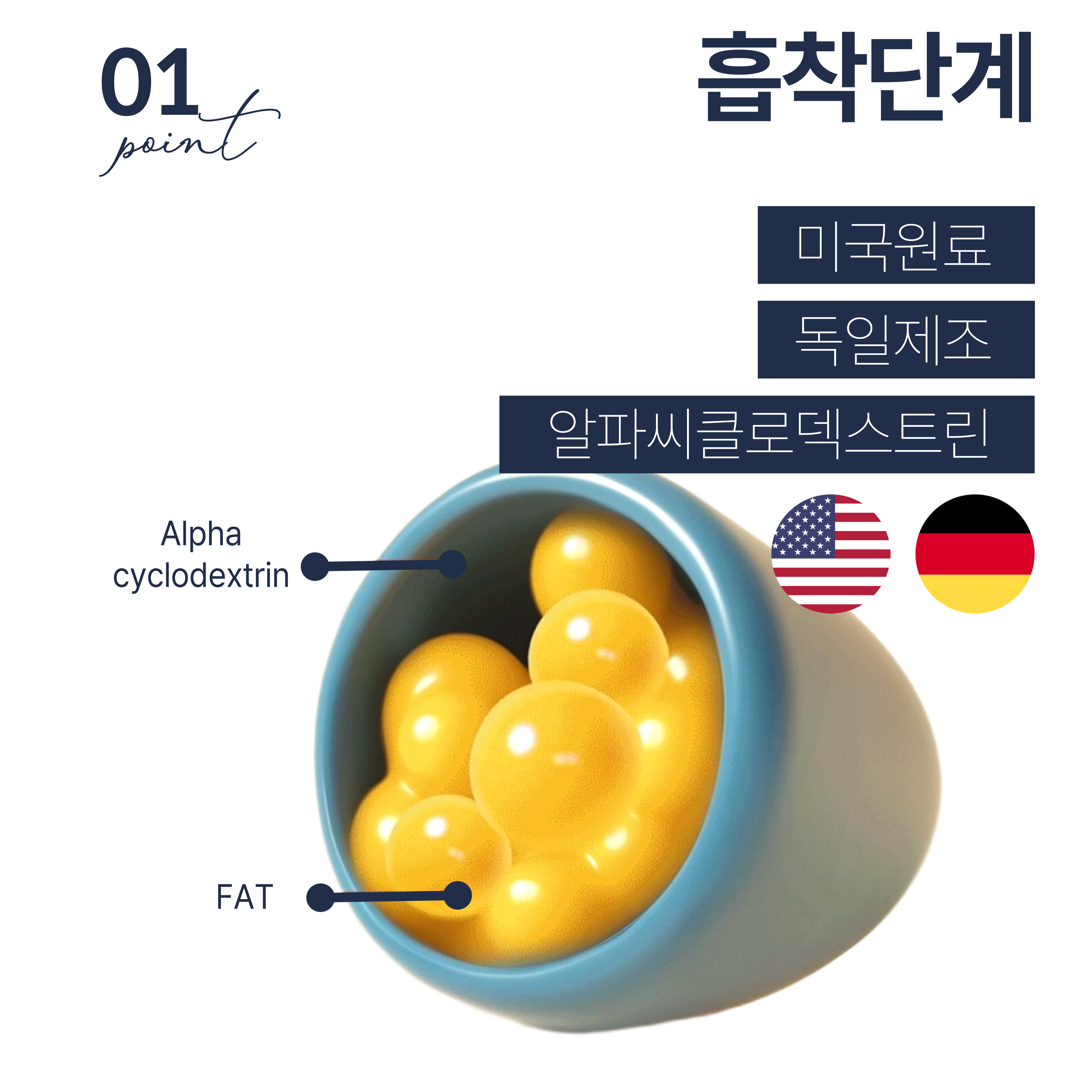 알파CD 순도100% 지방흡착배출 닥터이지 이너핏 알파씨디 식이섬유 쾌변 60정, 1개 이미지 6