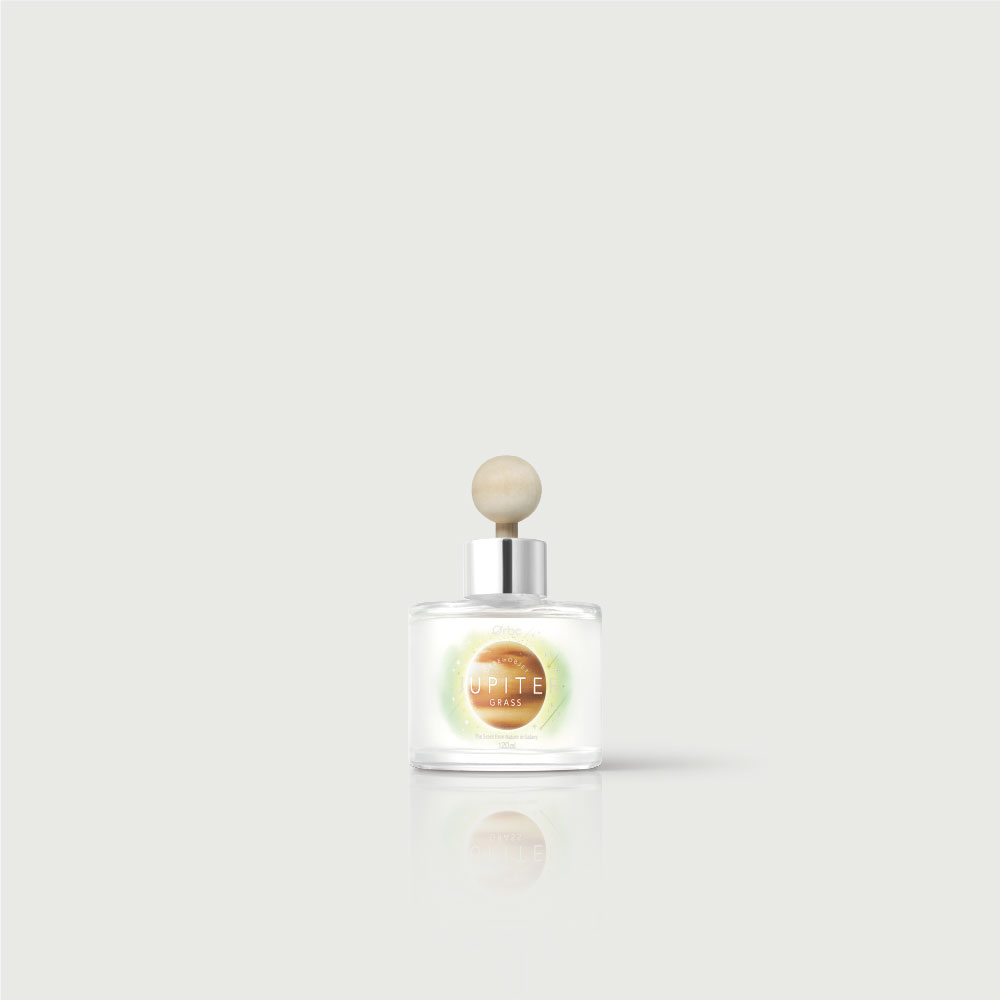 오르브 차량용 방향제 새차선물 자동차 카 디퓨저 120ml