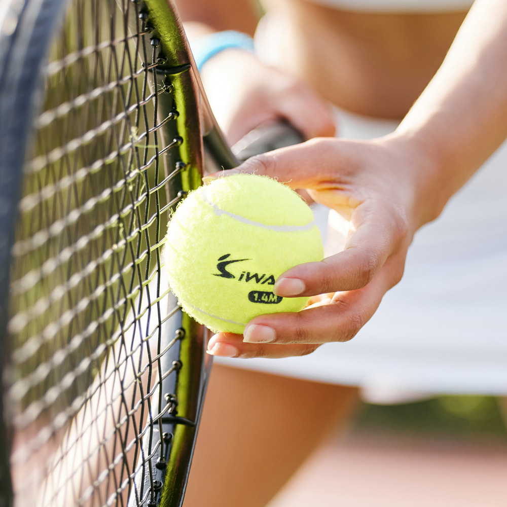 아이워너 연습용 테니스 공 10개입 테니스연습공 TENNIS 상품 이미지