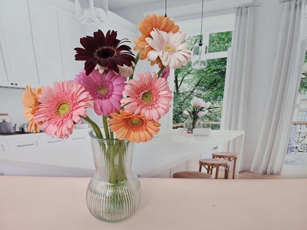 유스풀몰 생화 파스텔톤 거베라 1송이 피콜리니 꽃배달싼곳 꽃 이미지 3