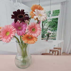 유스풀몰 생화 파스텔톤 거베라 1송이 피콜리니 꽃배달싼곳 꽃 솔직 후기 | 실사용자 리뷰 분석 - 상품 이미지 3