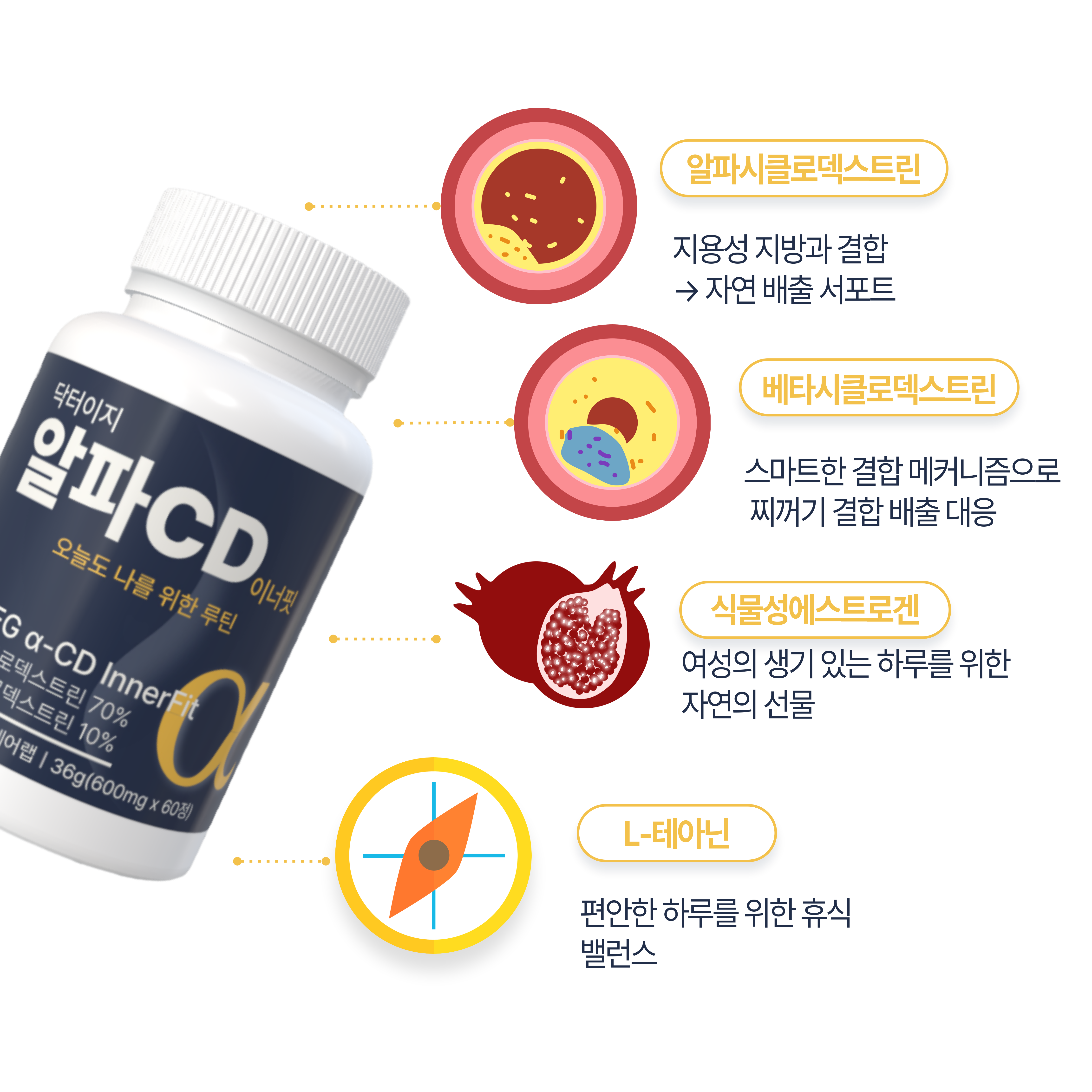 알파CD 순도100% 지방흡착배출 닥터이지 이너핏 알파씨디 식이섬유 쾌변 60정, 3개 - 상세 이미지 5