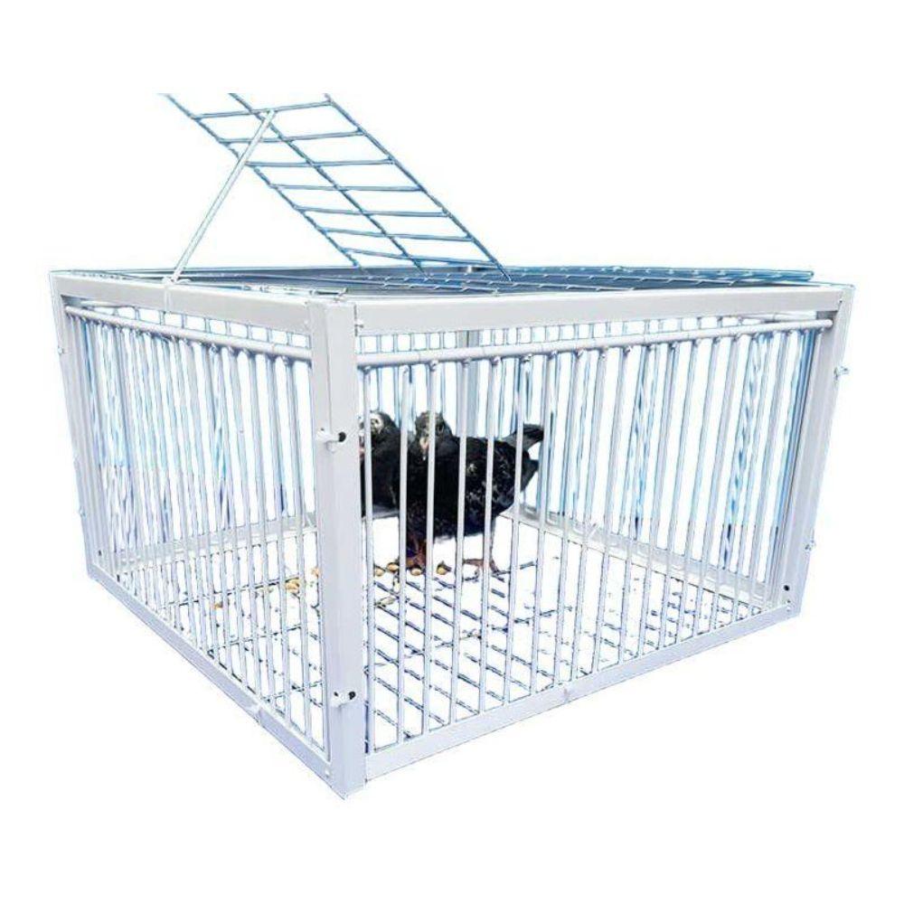 비둘기 트랩 케이지 철망 포획틀 퇴치 참새 포획망 둥지 암호화 100x60x26cm (2면) - 상세 이미지 3
