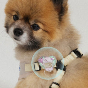 포글 O.G.M 클립 3종 (60일사용, 진드기방지) 강아지 해충방지 산... 솔직 후기 | 실제 사용자 리뷰 총정리 - 상품 이미지 1