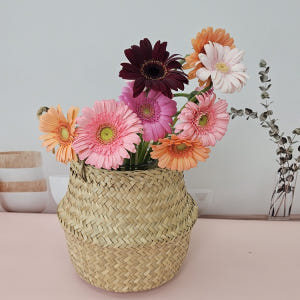 유스풀몰 생화 파스텔톤 거베라 1송이 피콜리니 꽃배달싼곳 꽃 솔직 후기 | 실사용자 리뷰 분석 - 상품 이미지 2