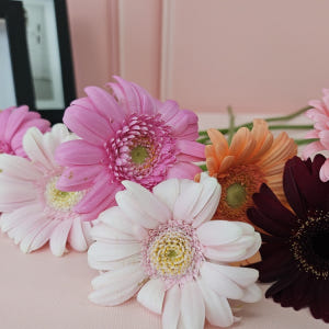 유스풀몰 생화 파스텔톤 거베라 1송이 피콜리니 꽃배달싼곳 꽃 솔직 후기 | 실사용자 리뷰 분석 - 상품 이미지 4