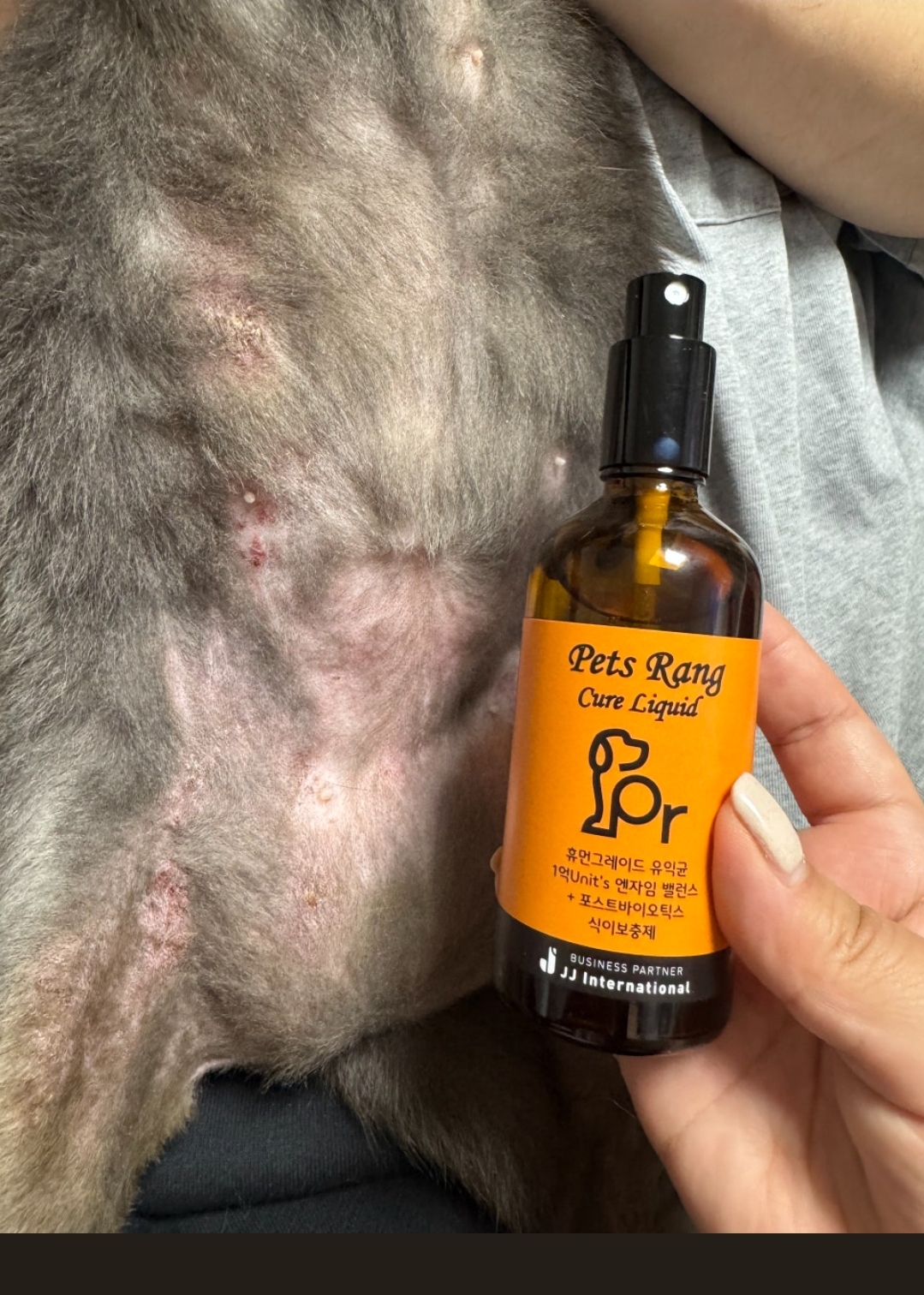 펫츠랑 강아지 유산균 포스트바이오틱스 피부 면역 소화 변비 설사 100ml, 1개 이미지 8