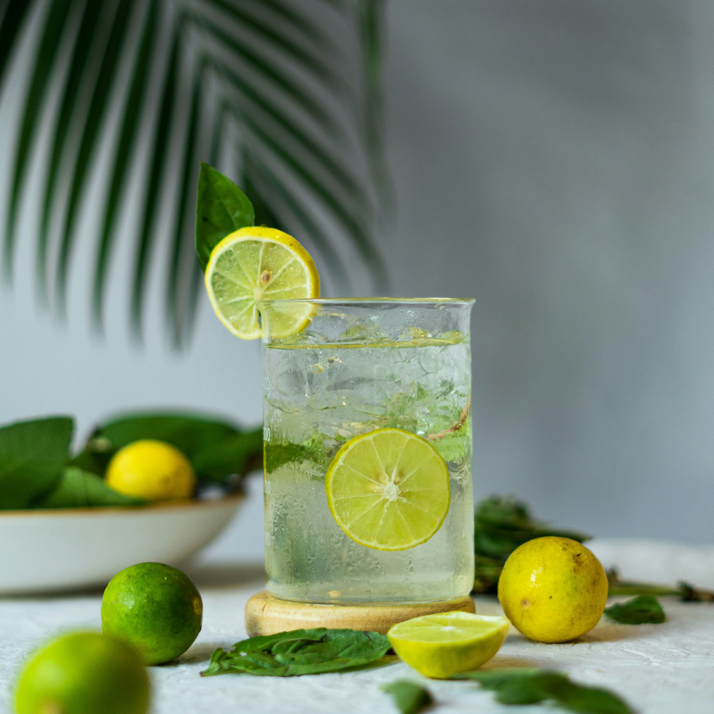 뉴테크캠쿡 스텐 레몬스퀴즈 스퀴저 수동착즙기 레몬즙짜개 과일짜기 즙짜는기계