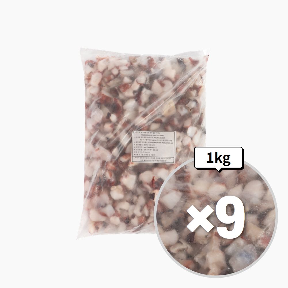 올라잇 문어(인도네시아/소S) 1kgX9개