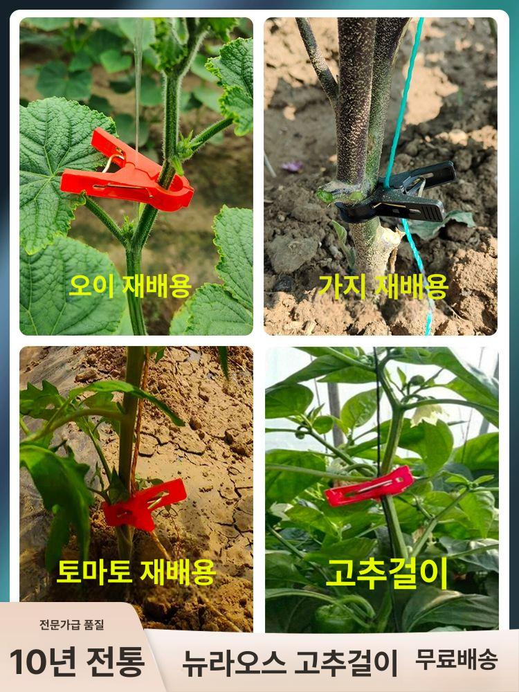 토마토집게 작물집게 오이 유인 줄기고정 원예용 클립 - 상세 이미지 4