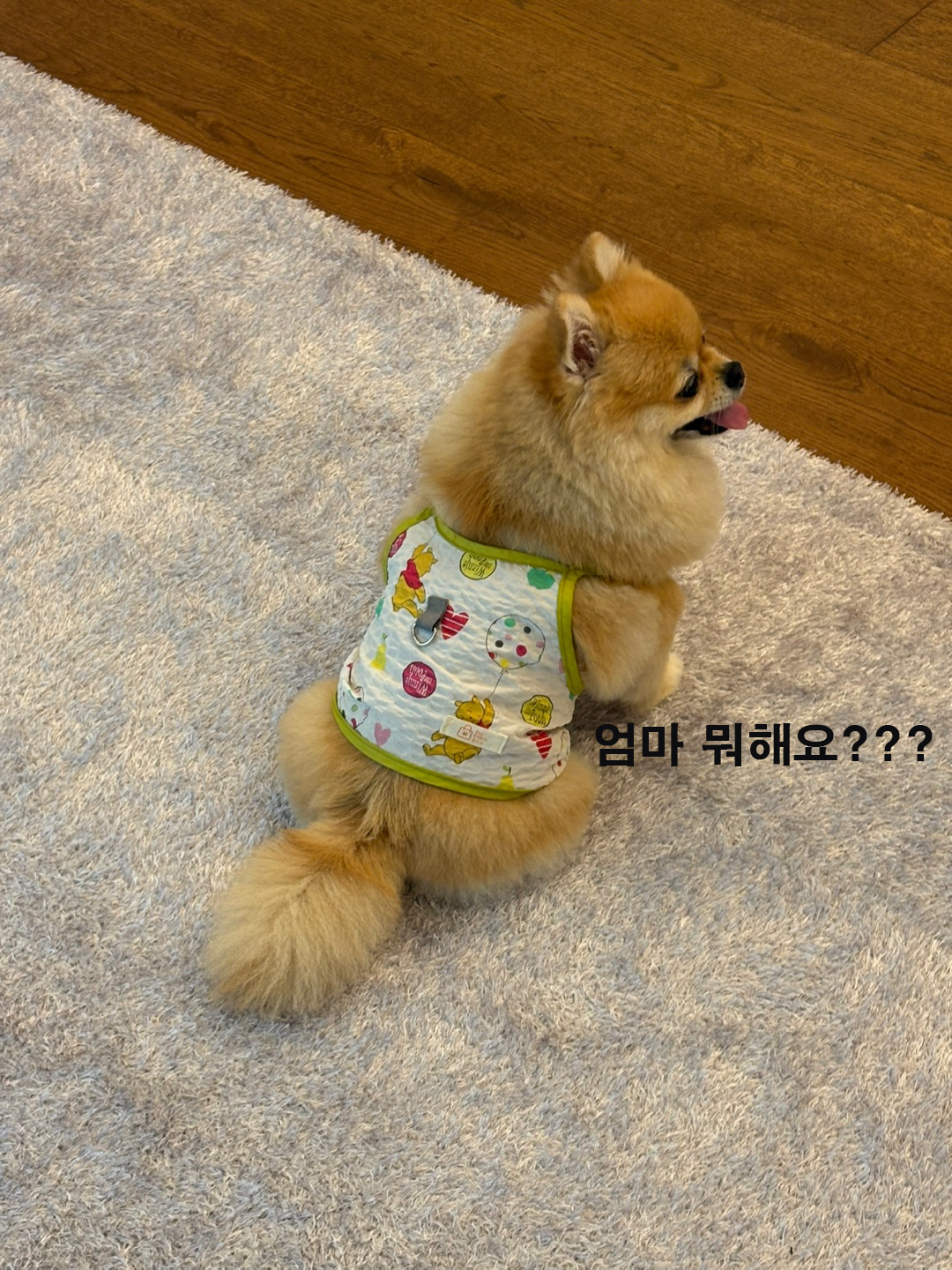 하네스형 민소매 탱크탑 지지미원단으로 통기성우수 산책용 끈나시 - 상세 이미지 3