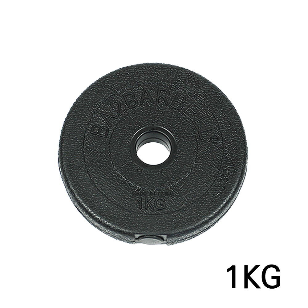 PVC 바벨원판 가성비 덤벨 바벨 원판 1kg 바벨 원판 후기 덤벨 선택법