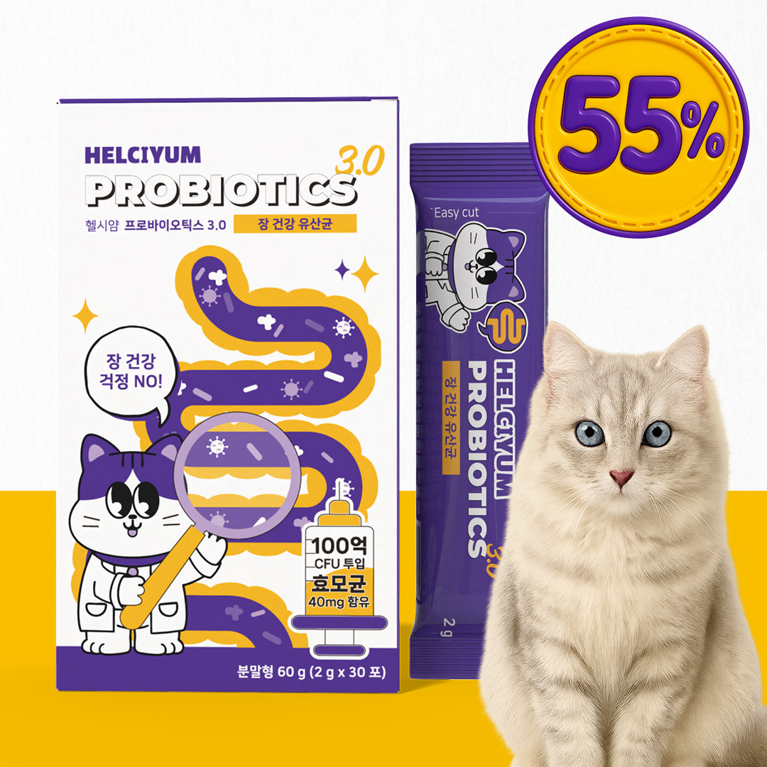 헬시얌 장 건강 고양이 유산균 프로바이오틱스 면역력 영양제 30포, 1개