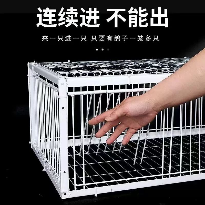 비둘기 포획틀 덫 조류 트랩 함정 유해 사냥 40x30x26 1개 무천창 - 상세 이미지 5