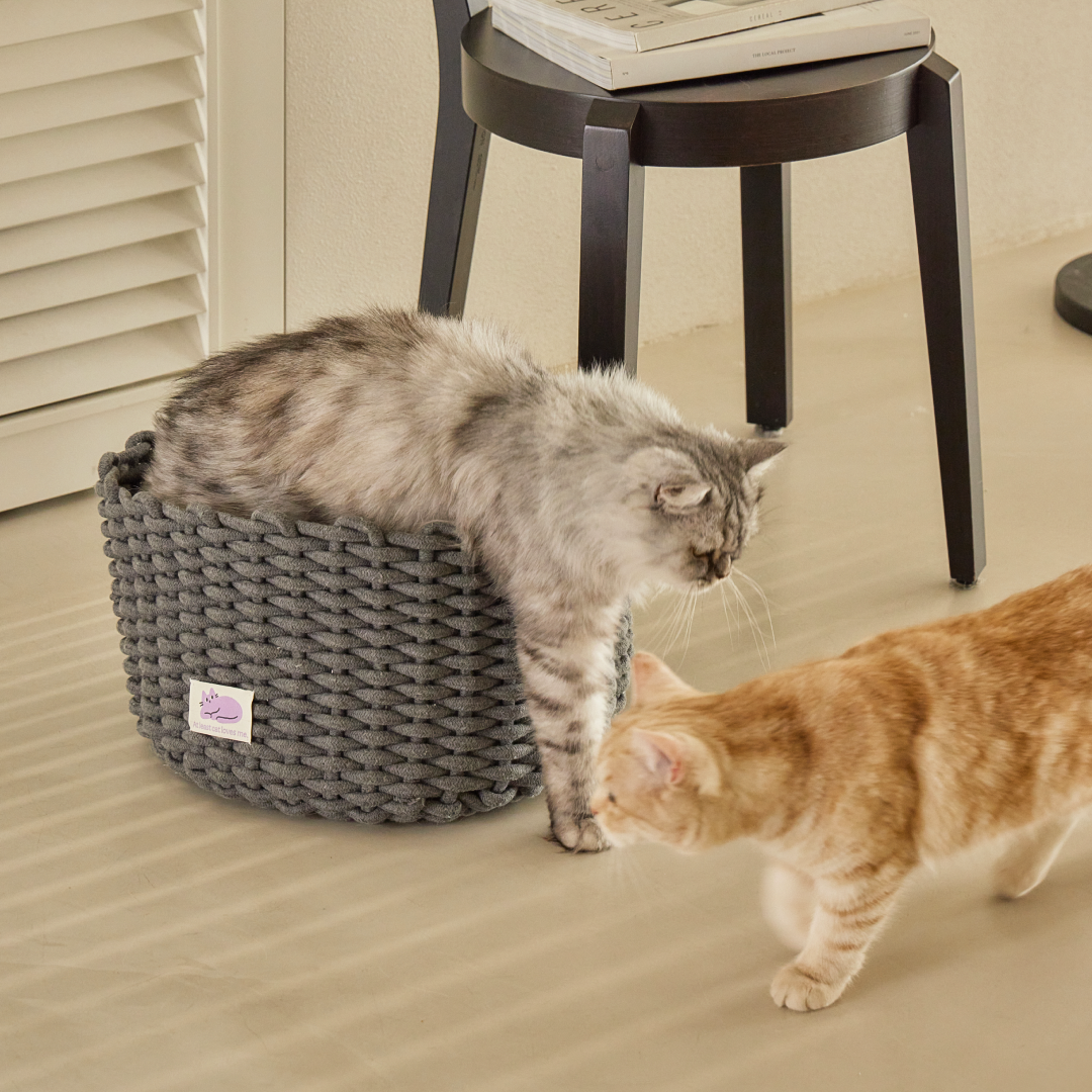 피도테일 고양이 코튼 니트 바구니 숨숨집 하우스 다크 그레이, L (42x42x20cm)