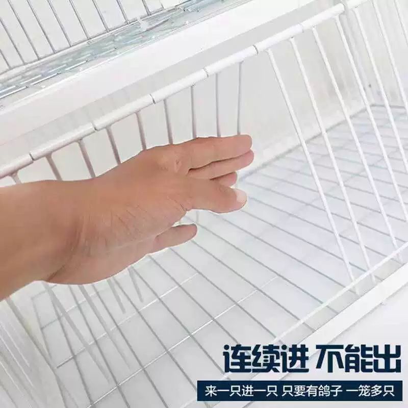 비둘기 포획틀 덫 조류 트랩 함정 유해 사냥 40x30x26 1개 무천창 - 상세 이미지 3