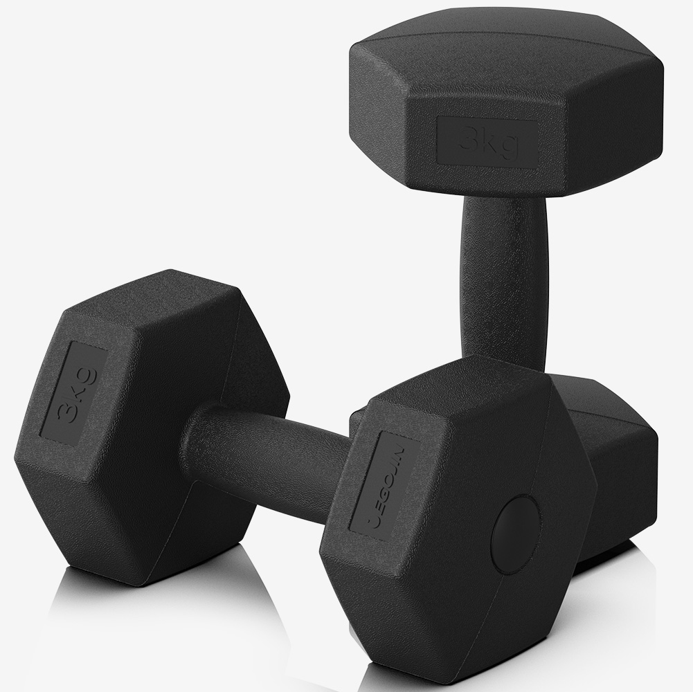 이고진 PE 육각 아령 덤벨 홈트레이닝 헬스장 크로스핏 근력 운동 3kg, 2개 - 상품 이미지
