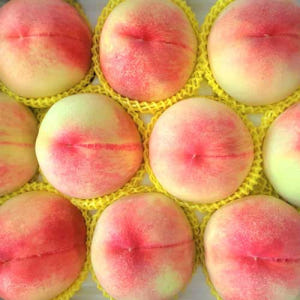 복숭아 신비복숭아 대극천 딱딱이 말랑이 천도 거반도 황도 백도 맛있게 먹은 솔직 후기 - 상품 이미지 3