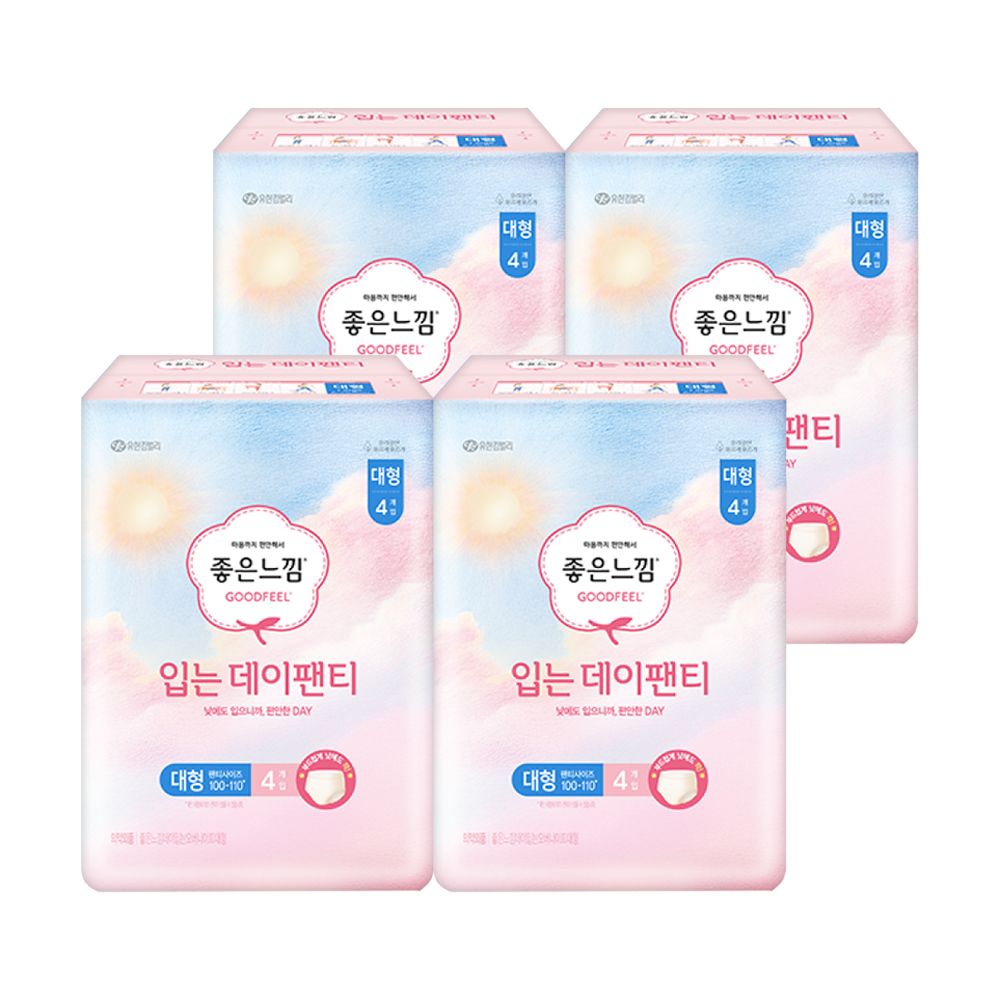 좋은느낌 입는데이팬티 L 4PX4팩 - 메인 이미지