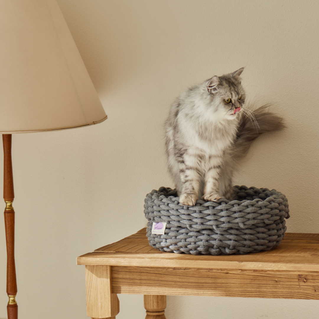 피도테일 고양이 코튼 니트 바구니 숨숨집 하우스 다크 그레이, L (42x42x20cm)