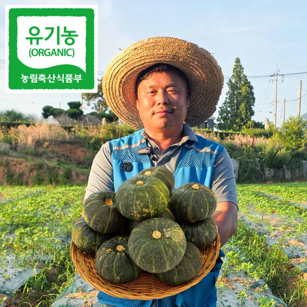 유기농 미니 밤호박 1.5kg+1.5kg 단호박 국내산 무안 보우짱 농장