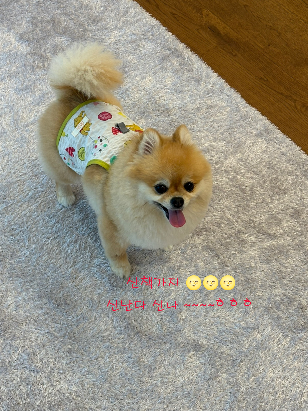 하네스형 민소매 탱크탑 지지미원단으로 통기성우수 산책용 끈나시 - 상세 이미지 5