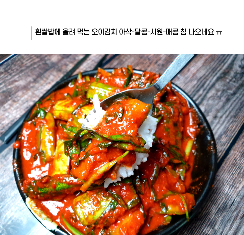 핵폭탄오이김치 오이소박이 매운 실비 오리지널 1kg, 1개 이미지 3