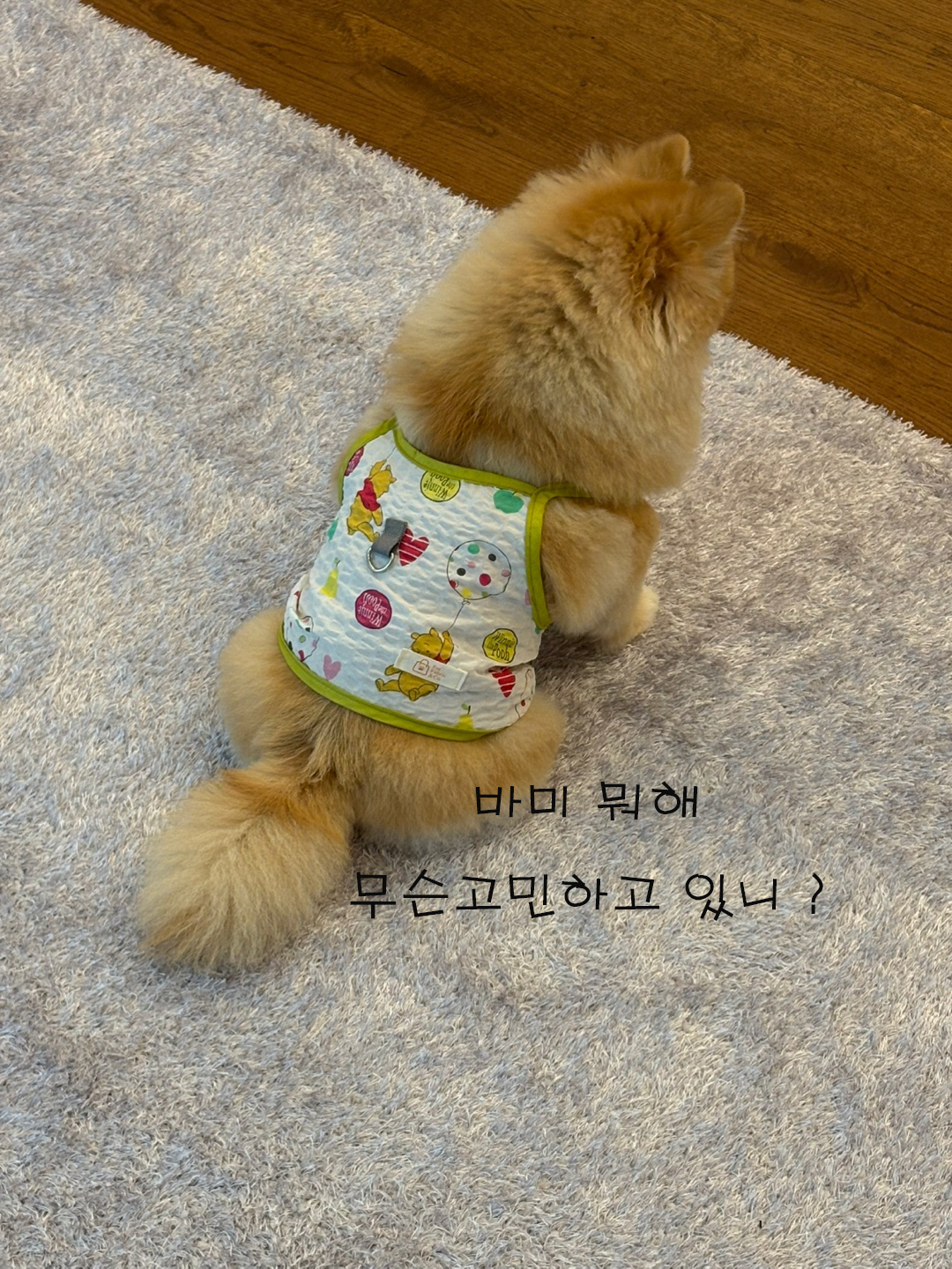 하네스형 민소매 탱크탑 지지미원단으로 통기성우수 산책용 끈나시 - 상세 이미지 4