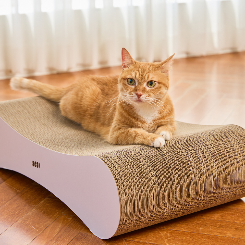 3651 벅벅 보드 초고밀도 고양이 스크래쳐