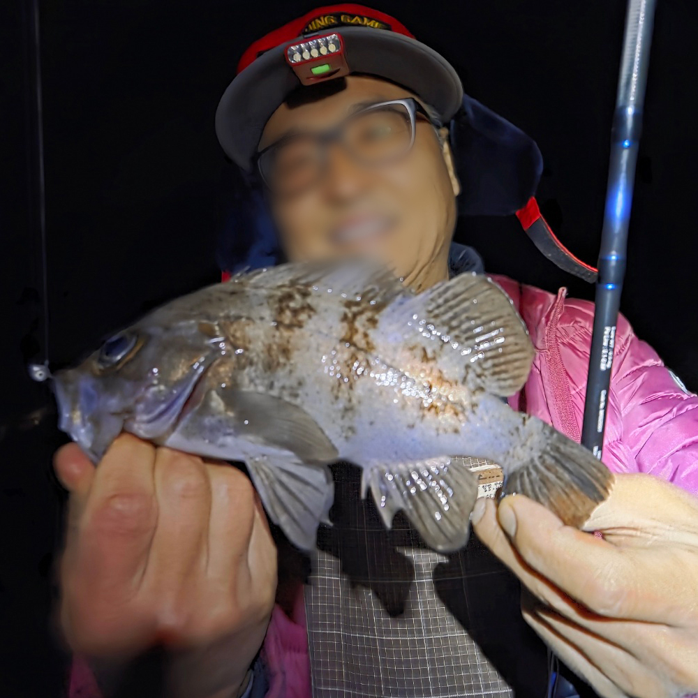 마리수 볼락대 아징대 볼락루어대 볼락낚시대 아징 로드 UL대 이미지 6