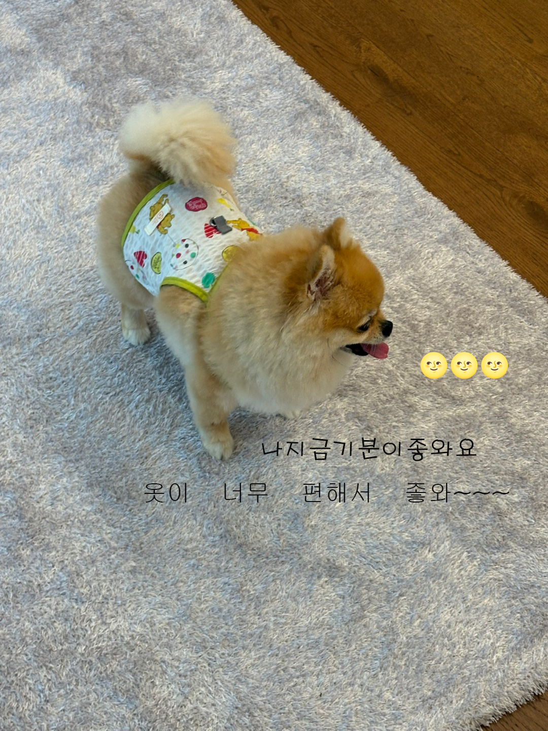 하네스형 민소매 탱크탑 지지미원단으로 통기성우수 산책용 끈나시 - 상세 이미지 2