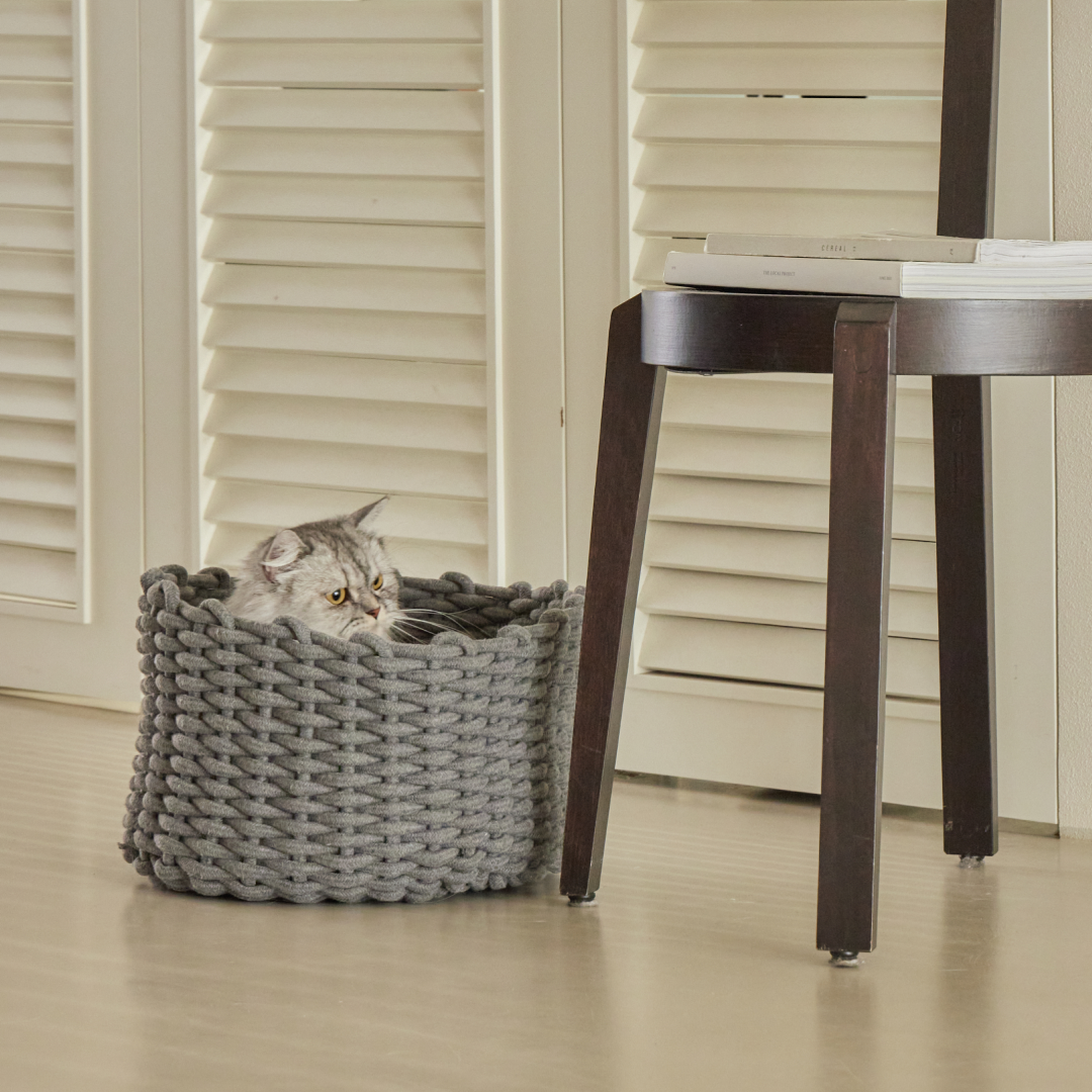 피도테일 고양이 코튼 니트 바구니 숨숨집 하우스 다크 그레이, L (42x42x20cm)