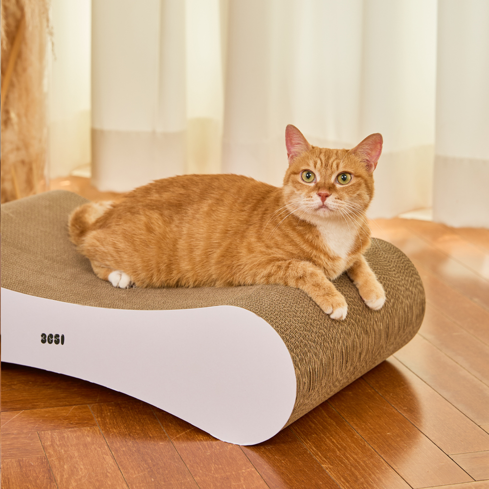 3651 벅벅 보드 초고밀도 고양이 스크래쳐