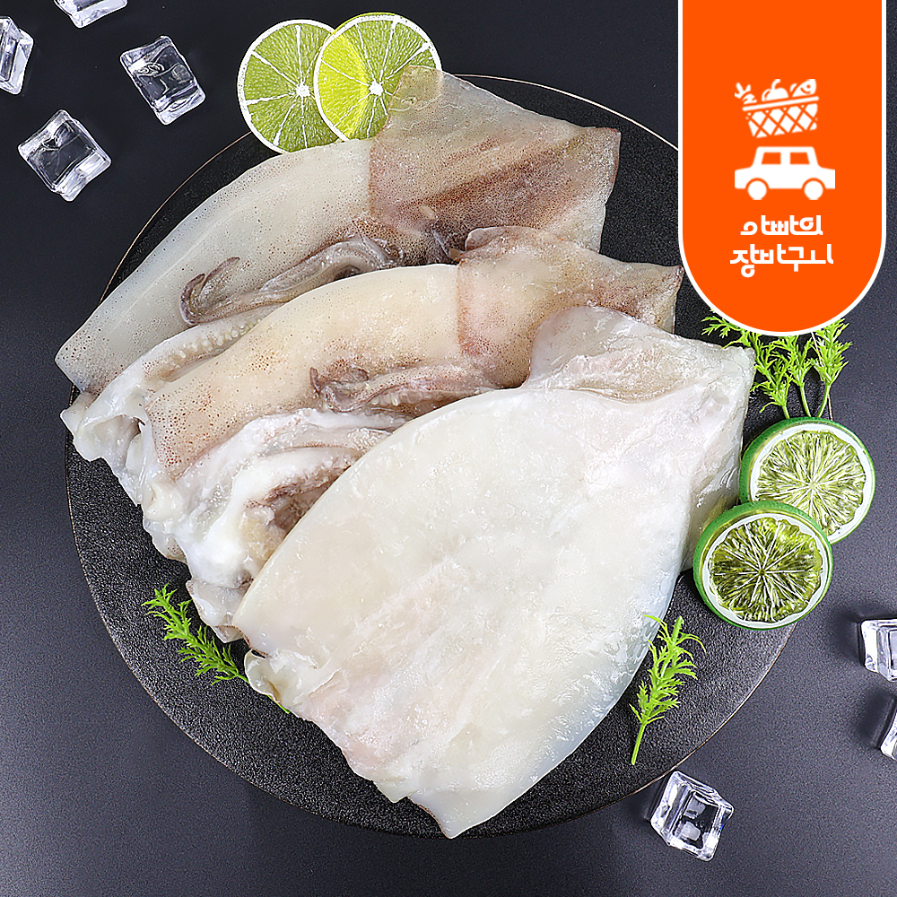 원양산 손질 오징어 850g 냉동 할복 선동 순살