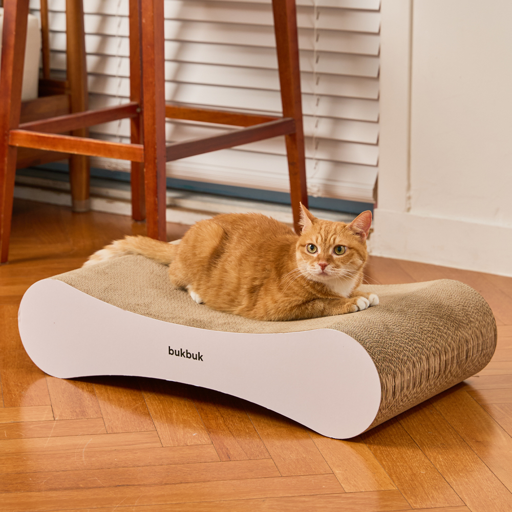 3651 벅벅 보드 초고밀도 고양이 스크래쳐