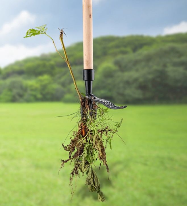 라슈에뜨 가정용 초간단 잡초 제거 주말농장 정원 장대형 민들레 풀뿌리 뽑기 헤드