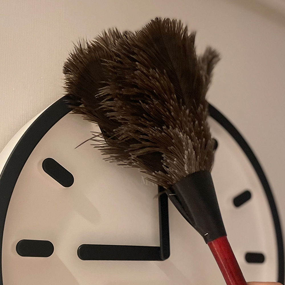 레데커 타조털 먼지떨이 35cm 먼지털이개 브러쉬 - 상품 이미지