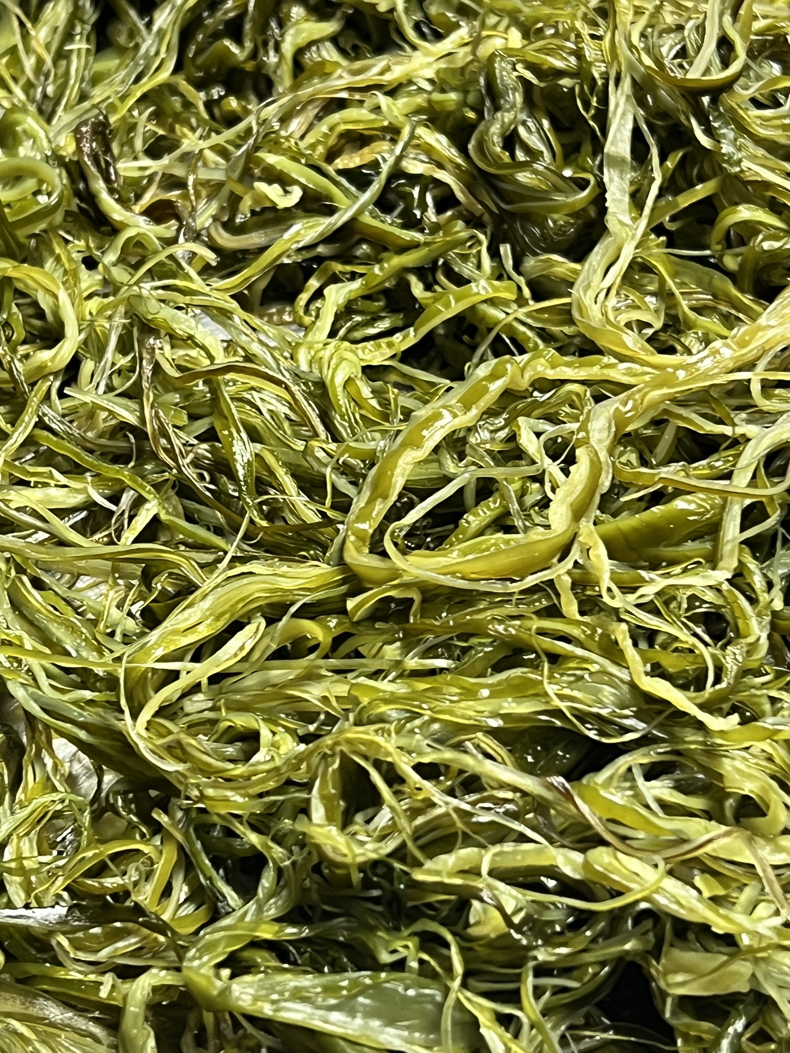전라도 완도 청정지역 미역줄기 부드러운 간단한반찬 햇 고급 산모 1kg 5kg 10kg - 메인 이미지
