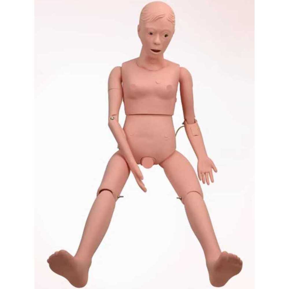 인체 모형 마네킹 의료 실습 훈련 전신 구조 더미 여성 관절형 - 상세 이미지 3