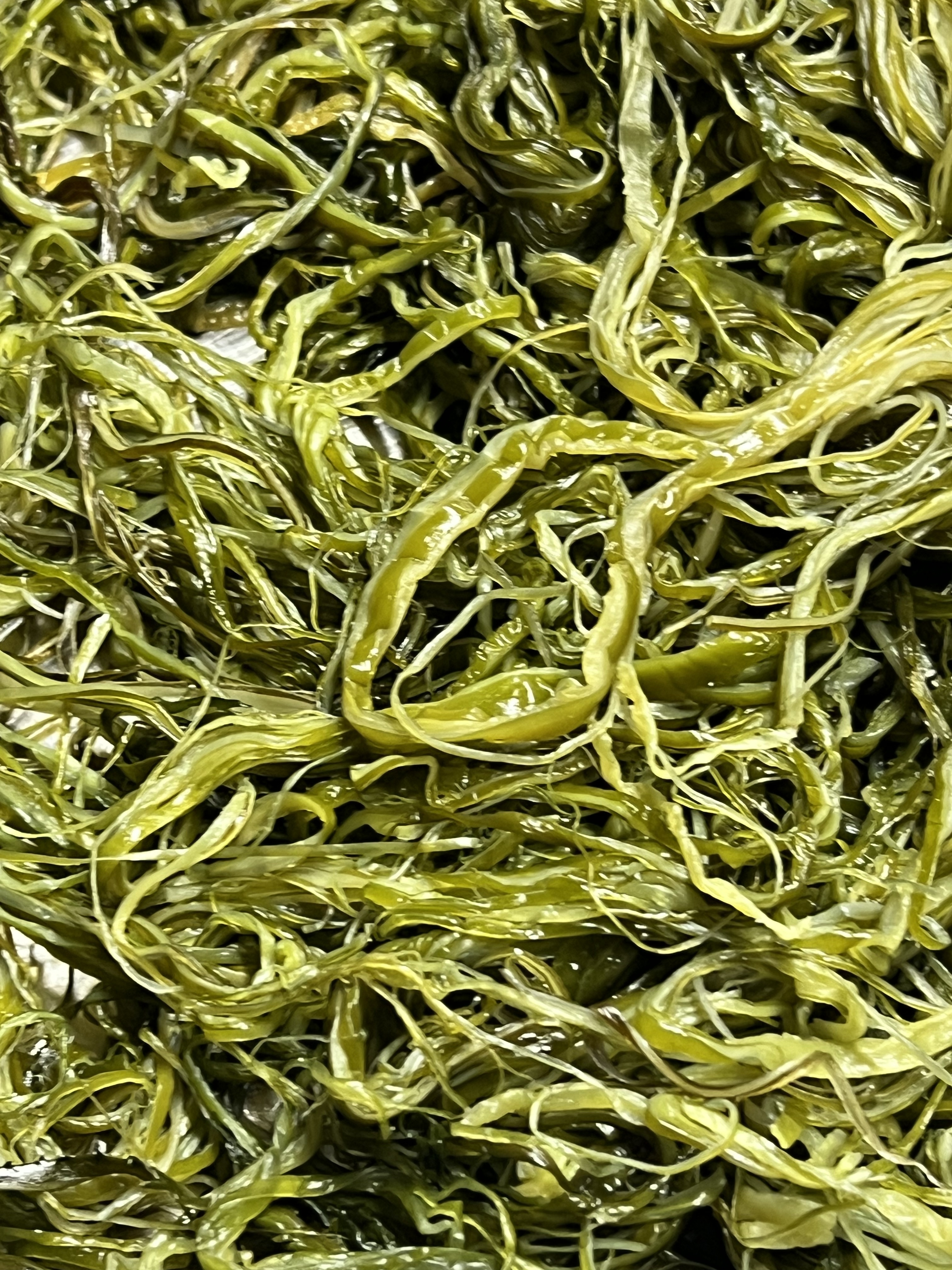 전라도 완도 청정지역 미역줄기 부드러운 간단한반찬 햇 고급 산모 1kg 5kg 10kg - 상세 이미지 4