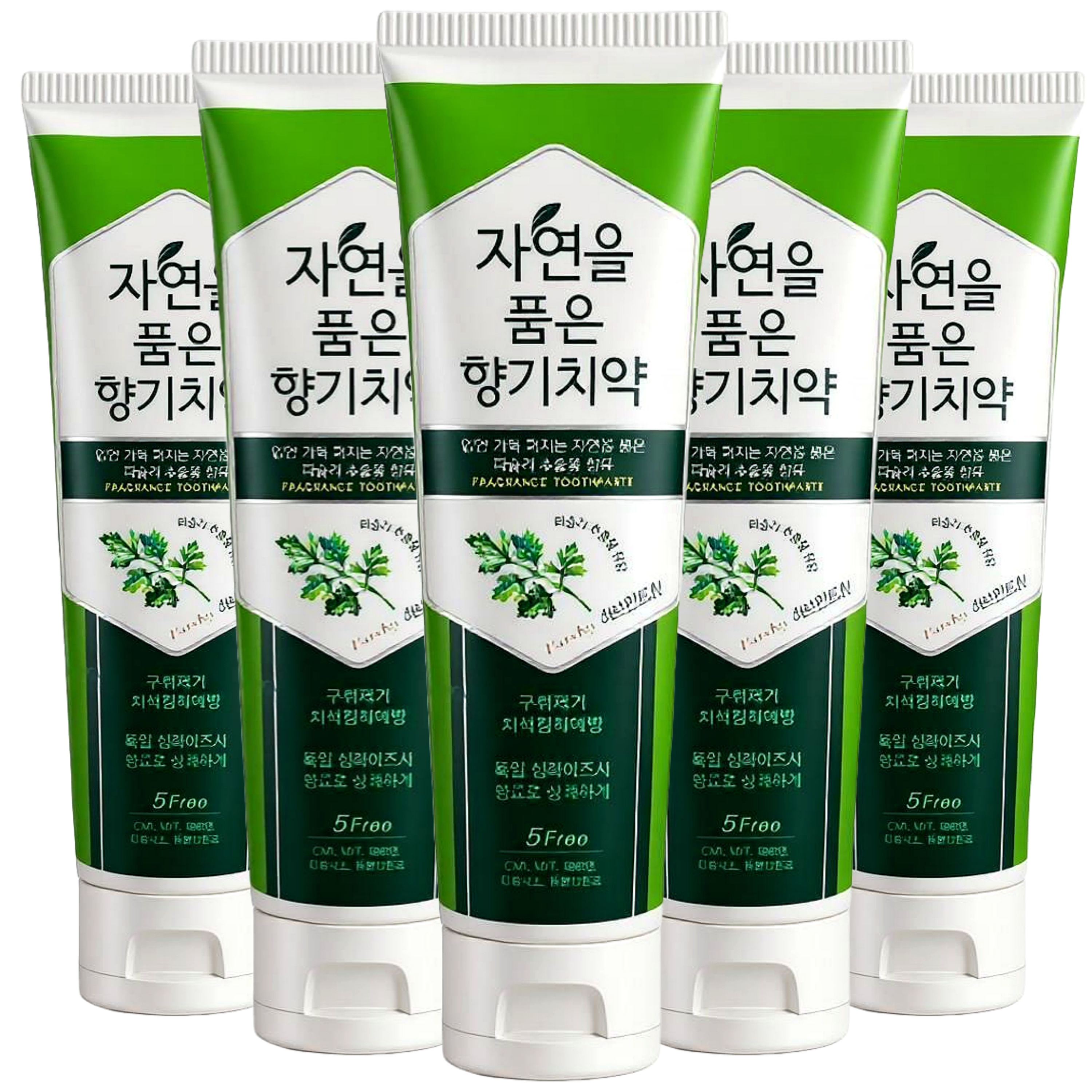 자연을품은향기 천연 잇몸 치석 구취제거 입냄새 치약 120g, 1개 - 상세 이미지 3