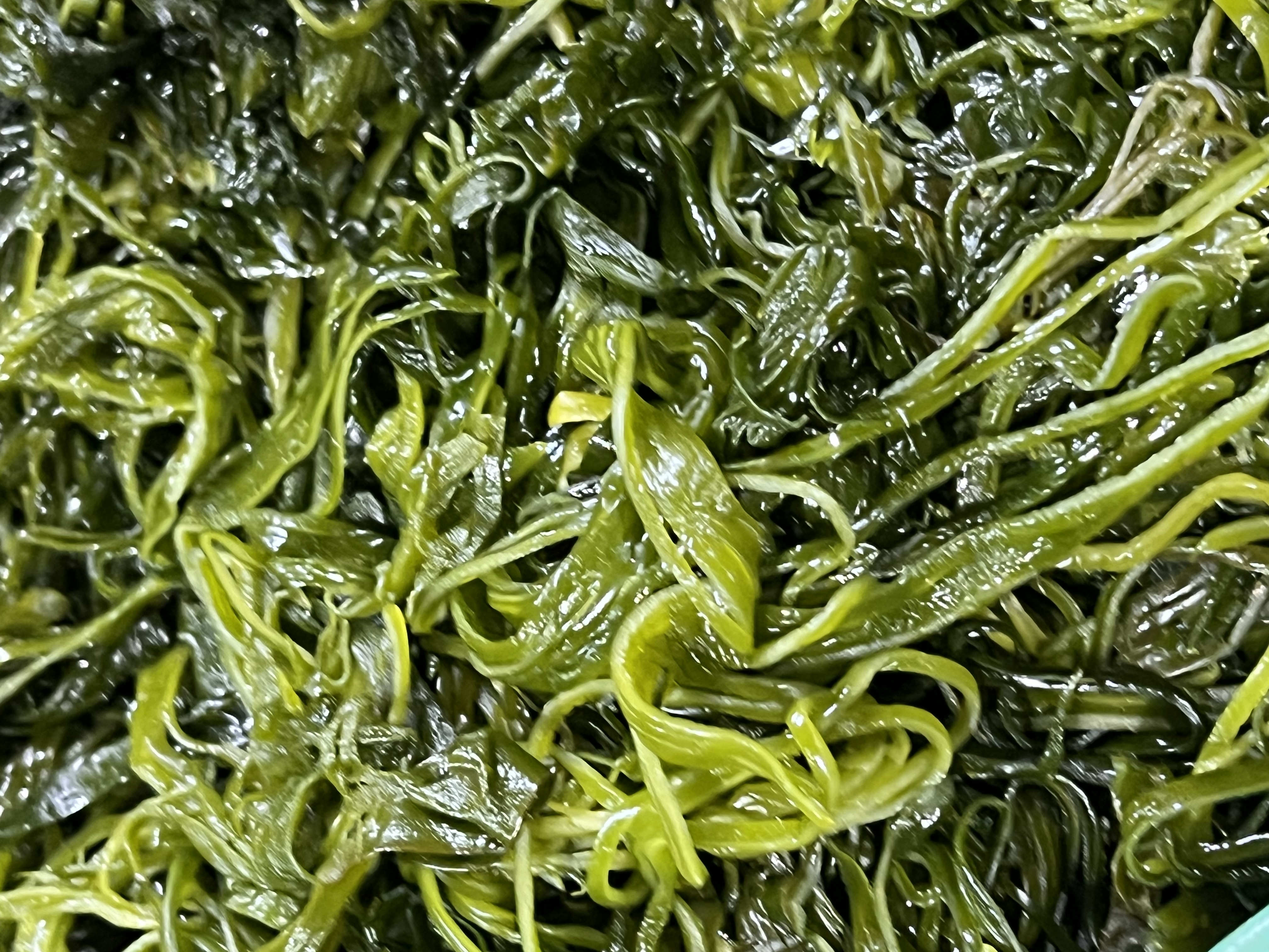 전라도 완도 청정지역 채다시마 부드러운 간단한반찬 햇 고급 산모 1kg 5kg 10kg - 상세 이미지 2