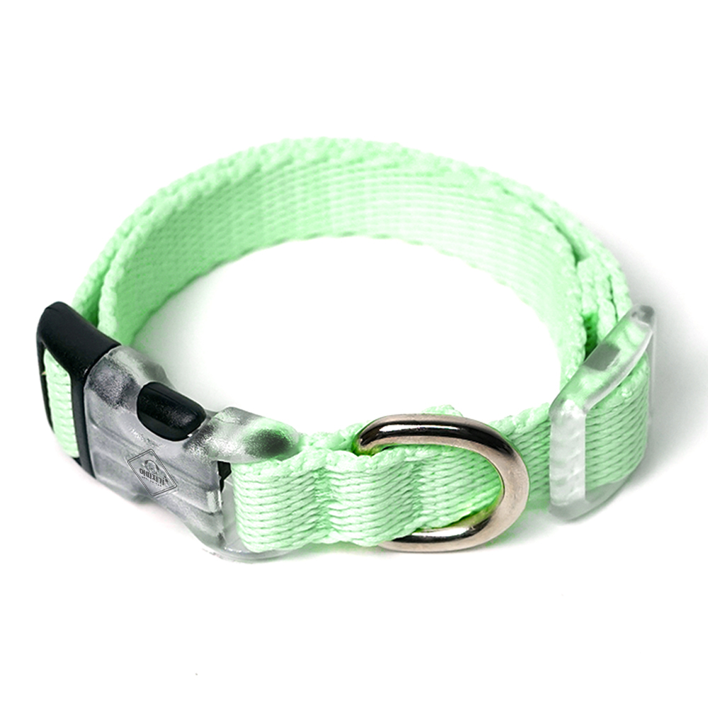 강아지 목줄 소형견 중형견 아띠지기 베이직 S