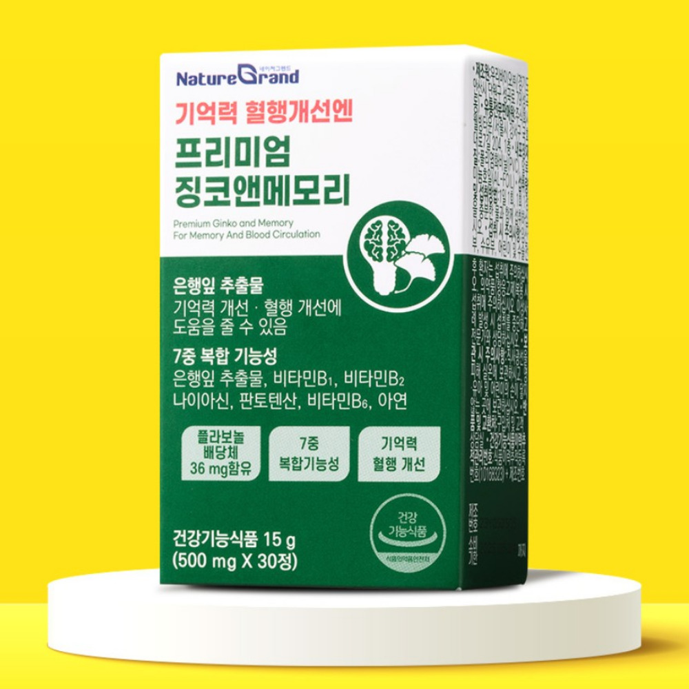 네이처그랜드 프리미엄 징코 앤 메모리 은행잎추출물 두뇌 은행엽엑스 약1달 30정, 3개 - 상세 이미지 2