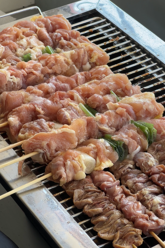 대영산업 꼬치구이 기계 (가스식/중/2열) - 상세 이미지 2