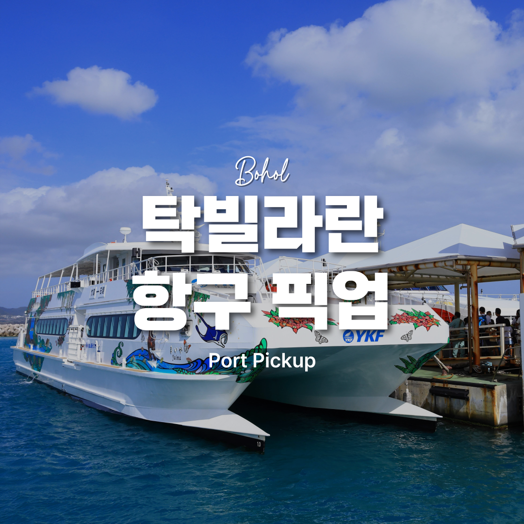 보홀 탁빌라란 항구 픽업 단독차량 - 상품 이미지
