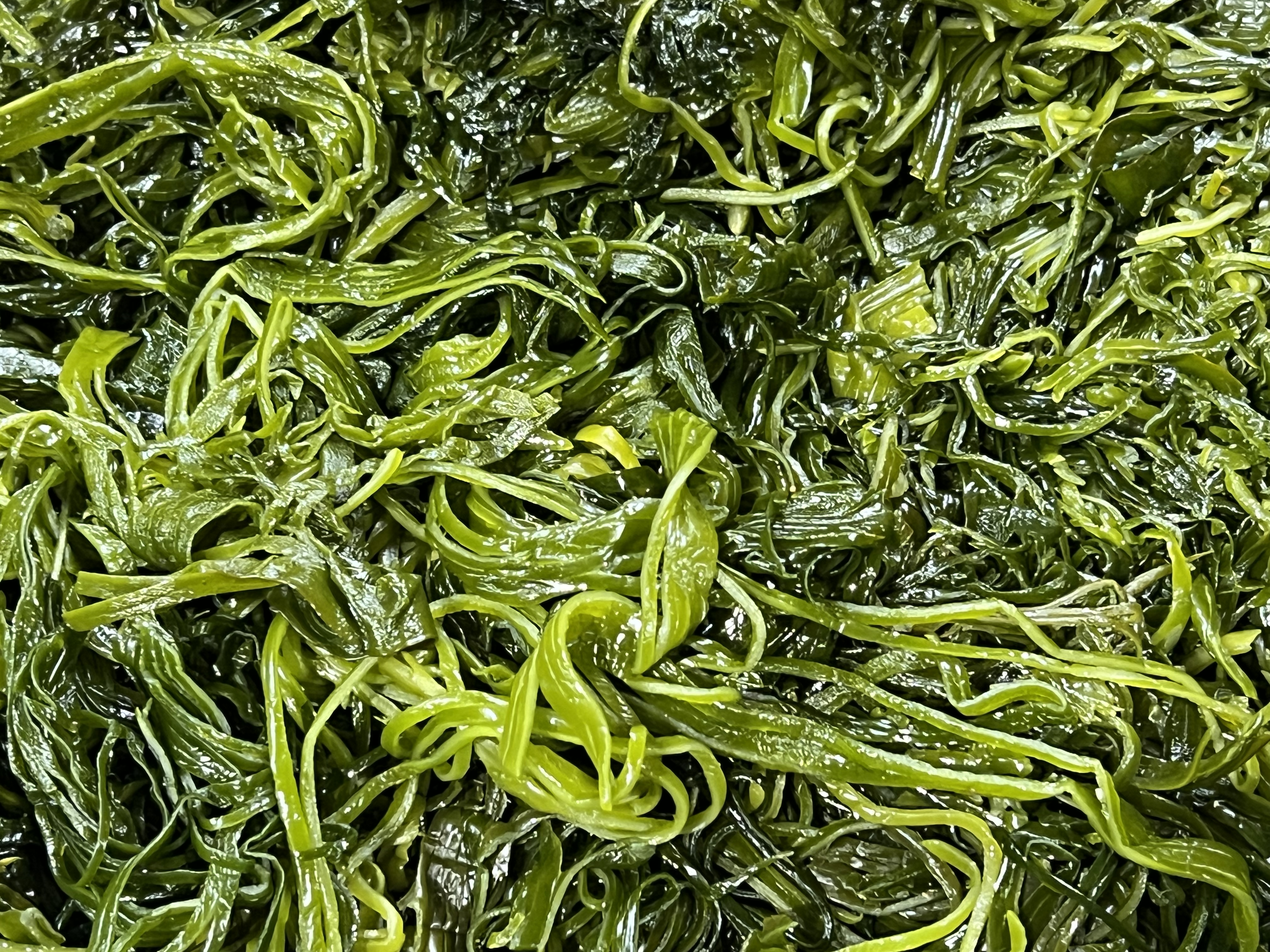 전라도 완도 청정지역 채다시마 부드러운 간단한반찬 햇 고급 산모 1kg 5kg 10kg - 메인 이미지