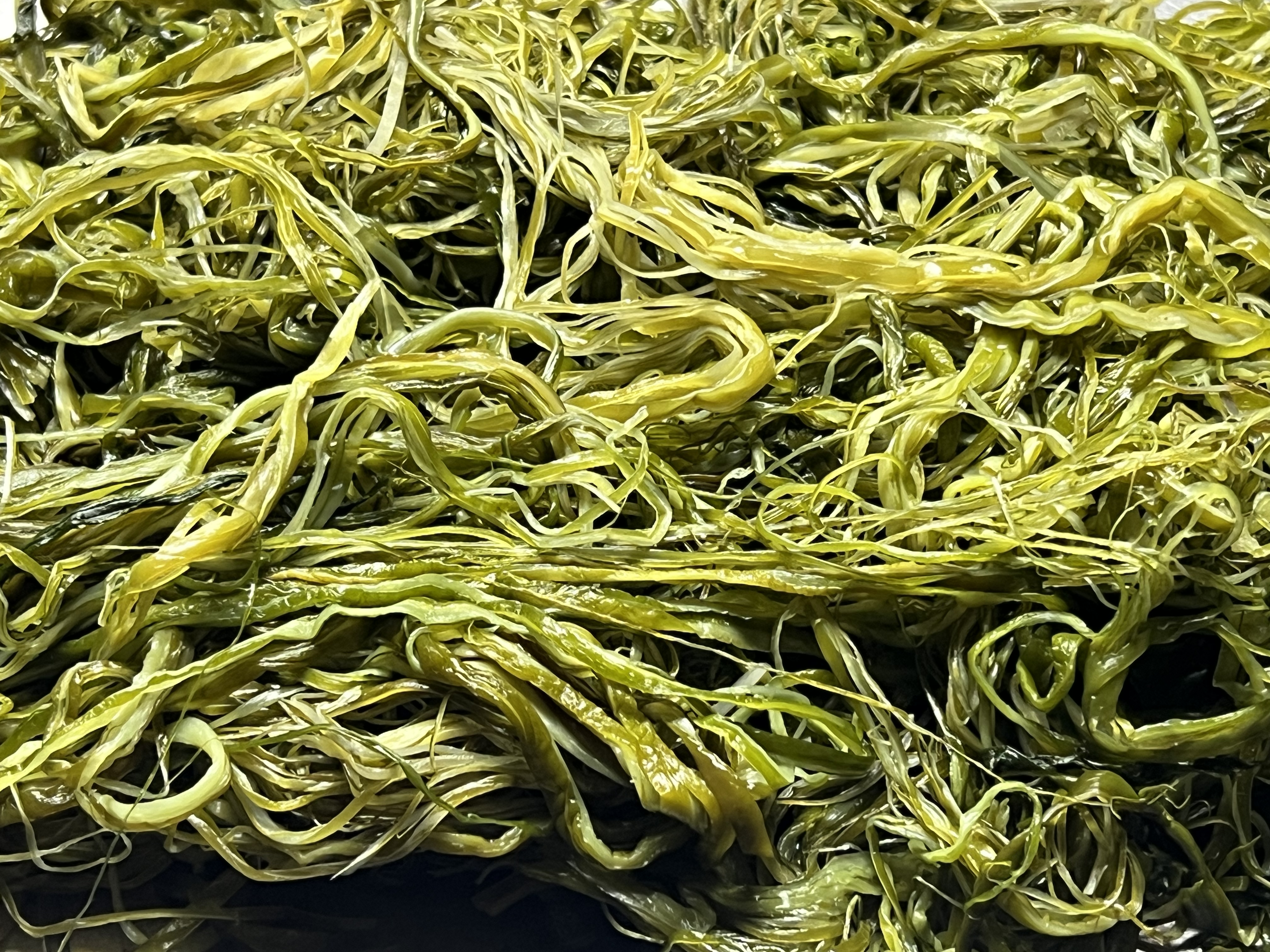 전라도 완도 청정지역 미역줄기 부드러운 간단한반찬 햇 고급 산모 1kg 5kg 10kg - 상세 이미지 2