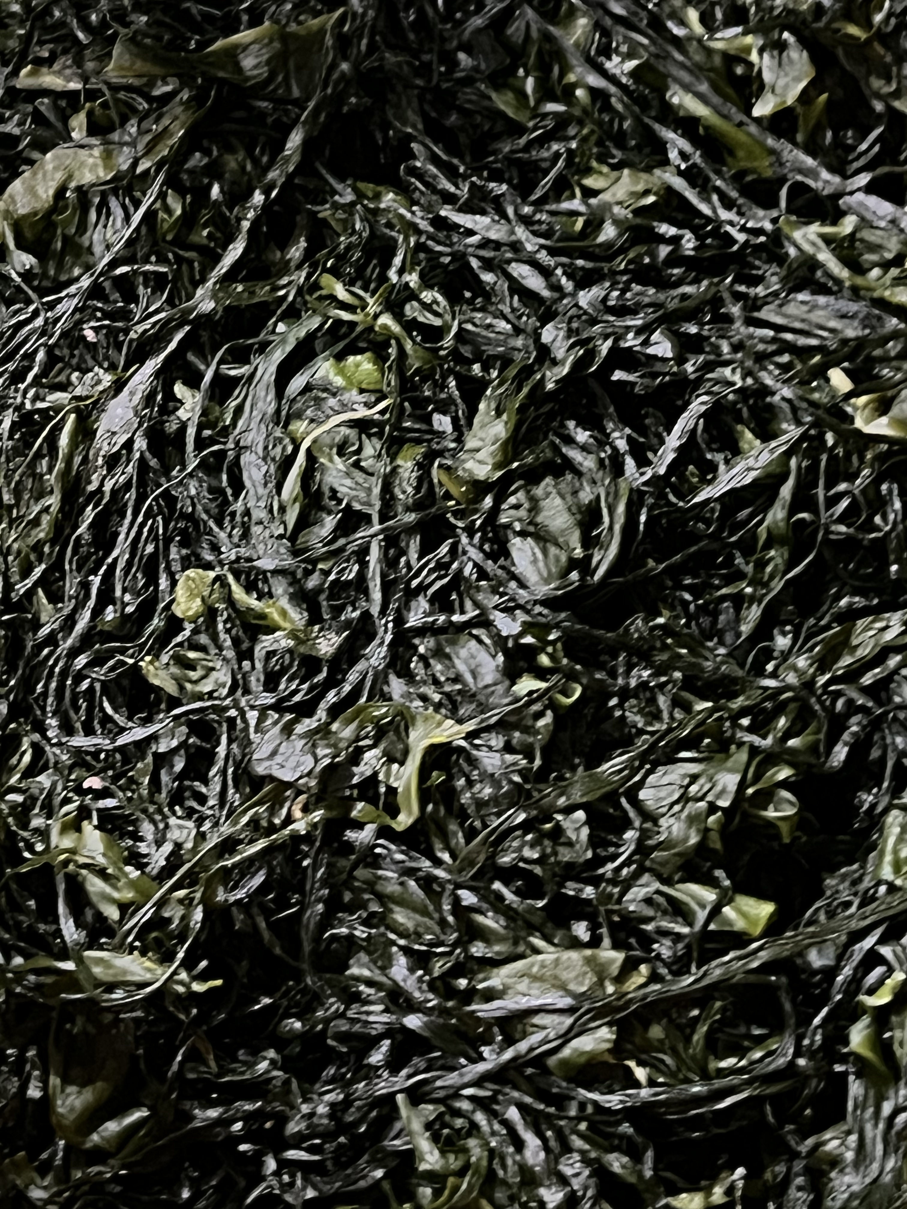 전라도 완도 청정지역 염장미역 부드러운 간단한반찬 햇 고급 산모 1kg 5kg 10kg 이미지 2